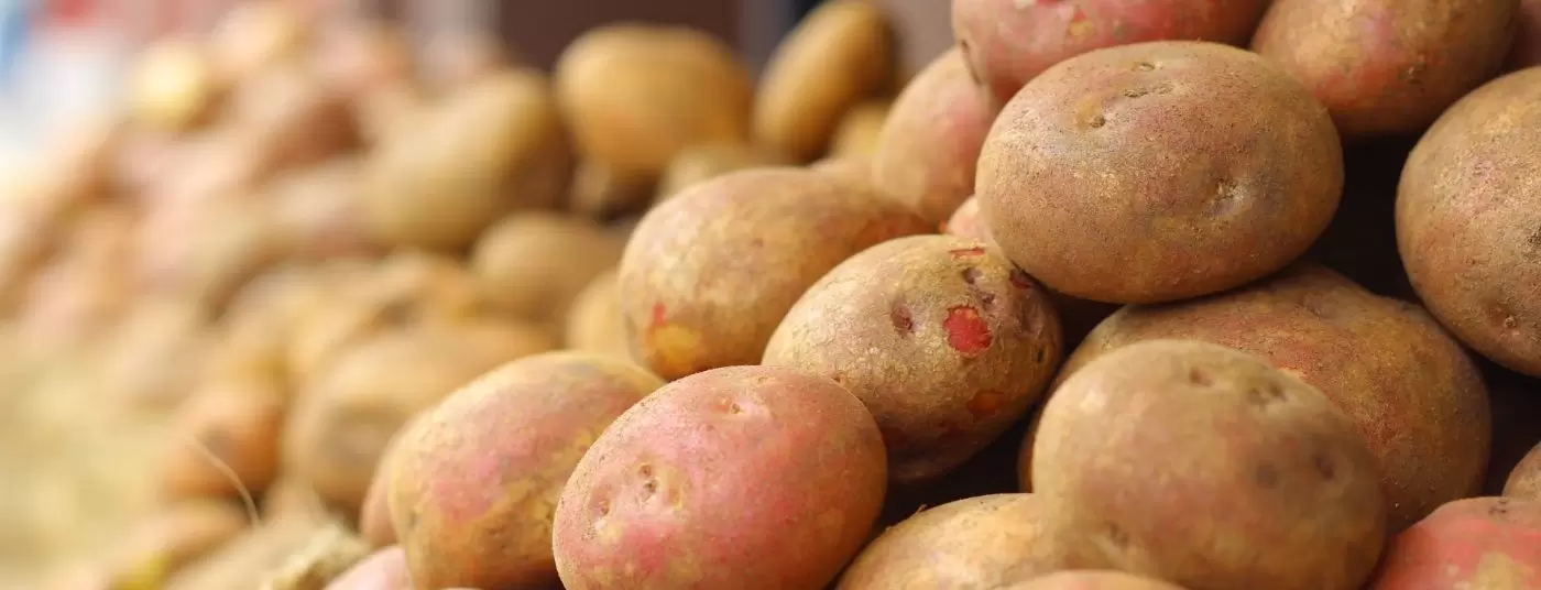 Spring - Grow Your Own GROW YOUR OWN